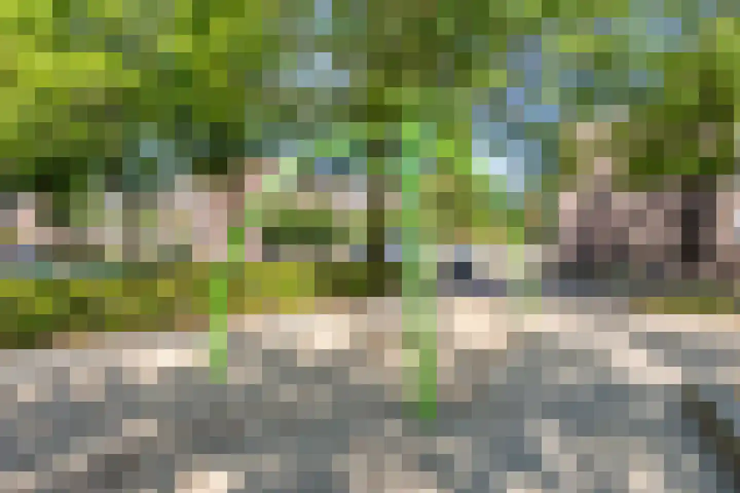 Eggestraat 18 Breda thumbnail 40