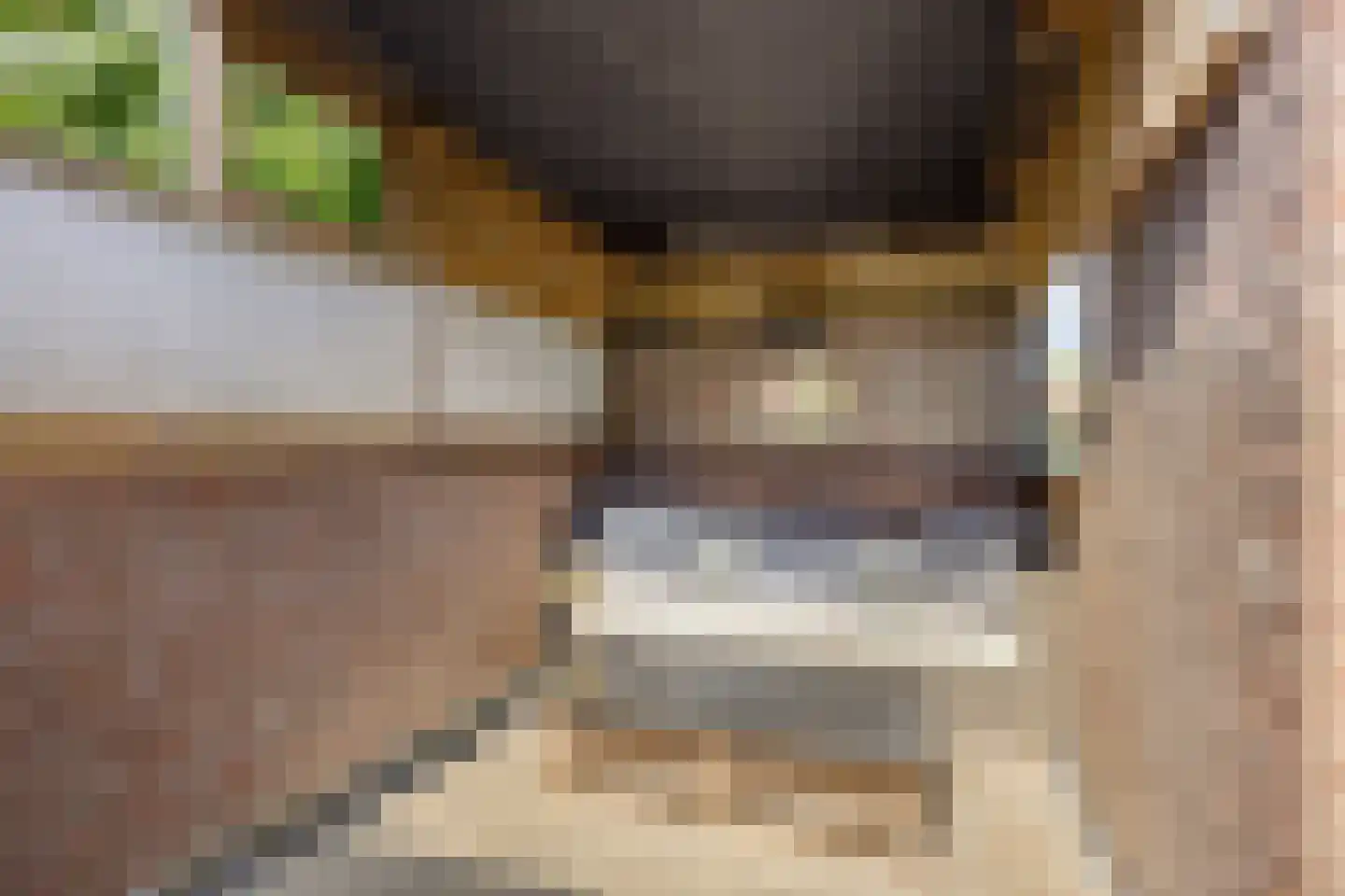 Eggestraat 38 Alkmaar thumbnail 18