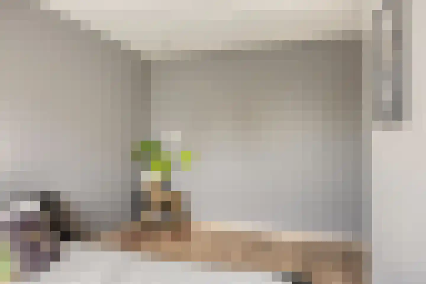 Eggestraat 38 Alkmaar thumbnail 21