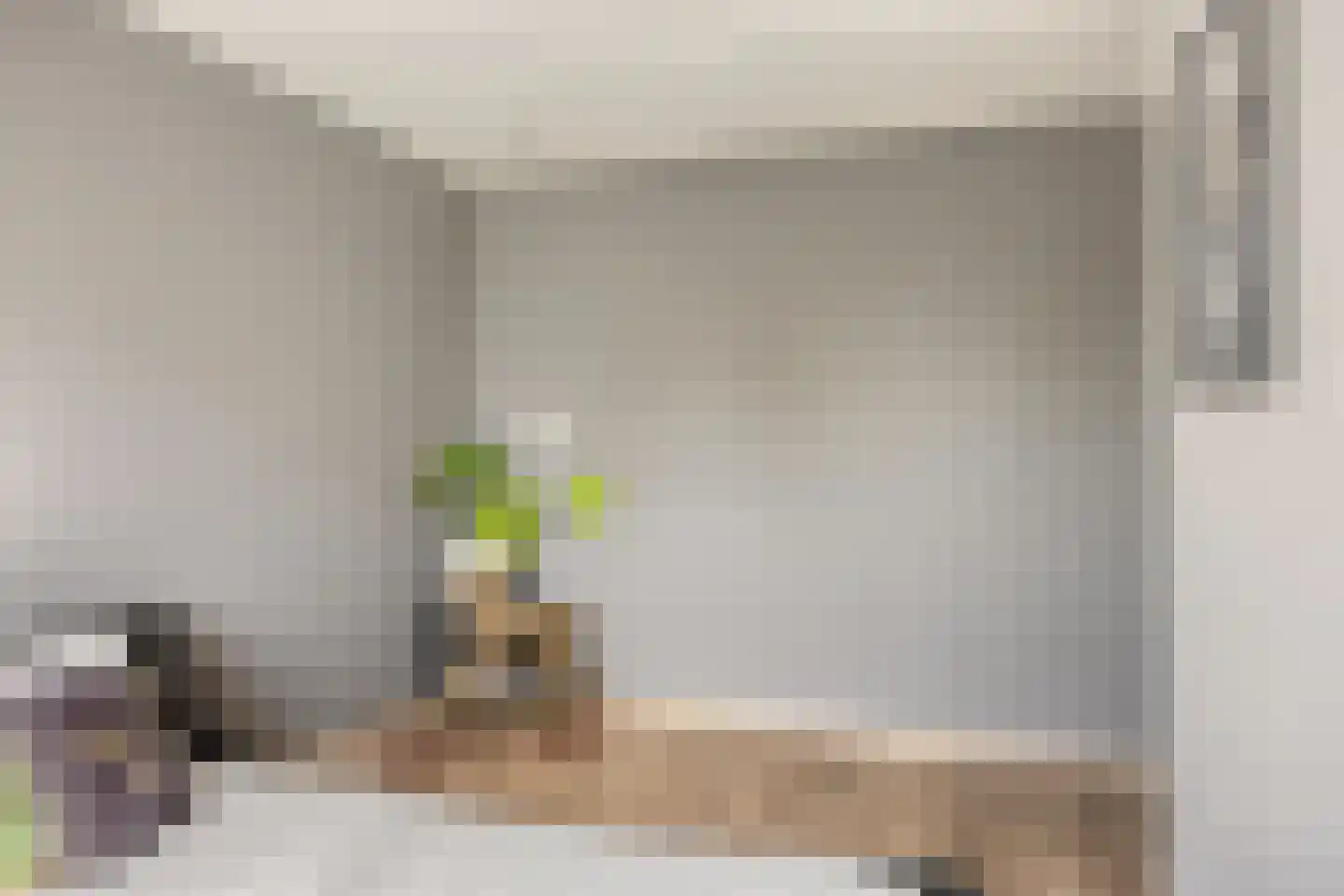Eggestraat 38 Alkmaar thumbnail 22