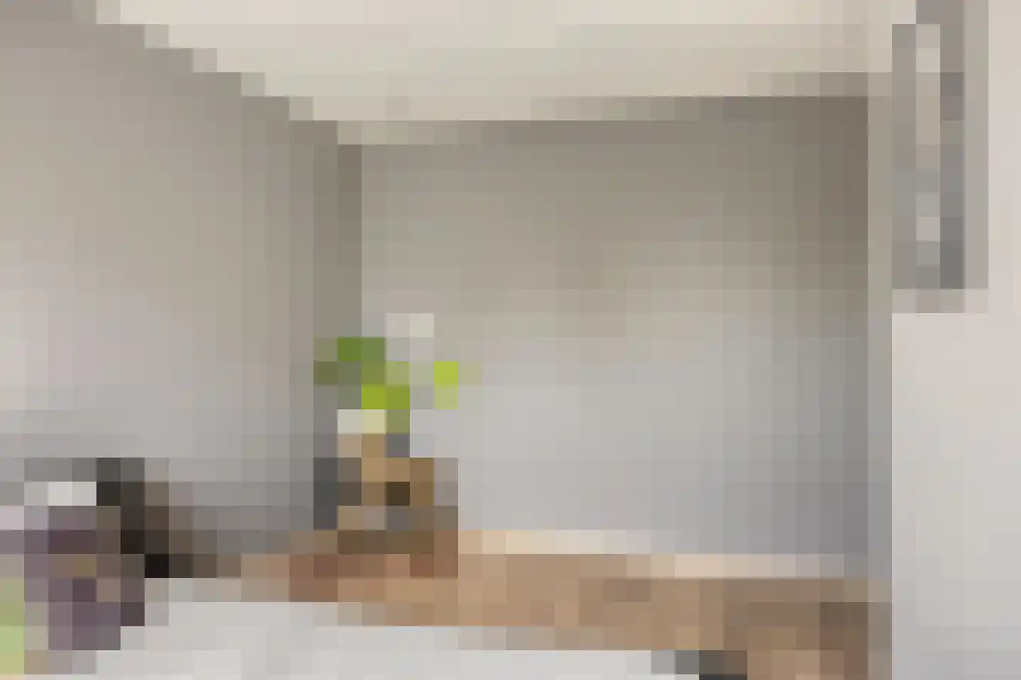 Eggestraat 38 Alkmaar thumbnail 22