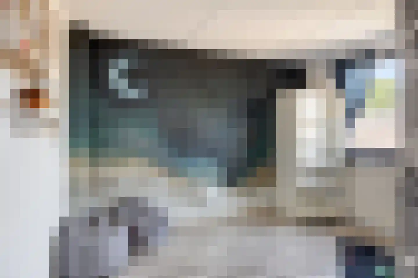 Eggestraat 38 Alkmaar thumbnail 23