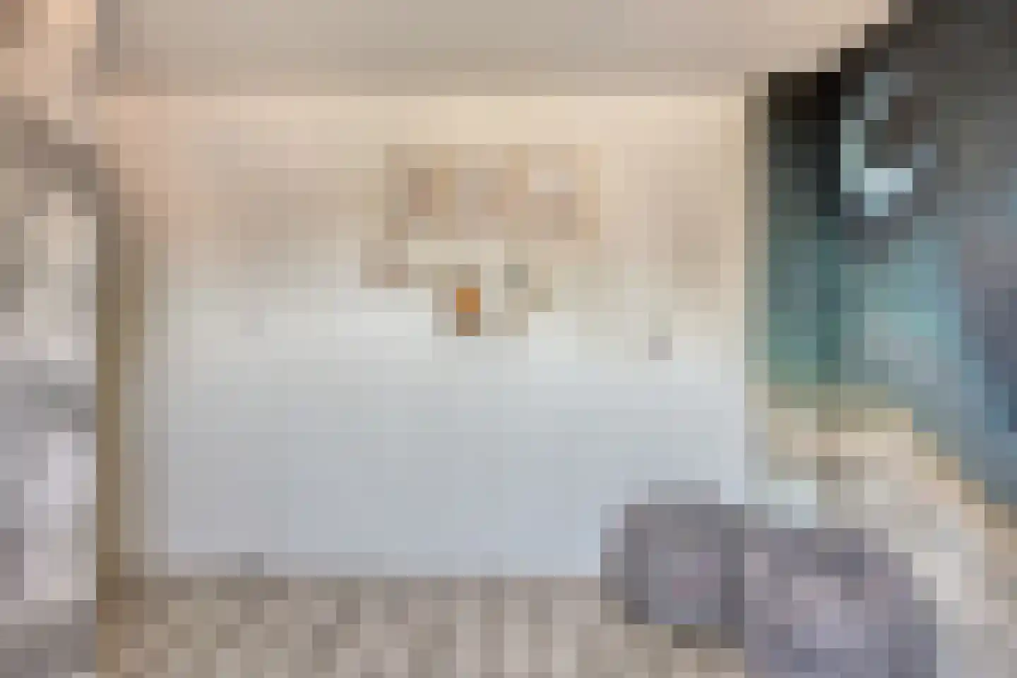 Eggestraat 38 Alkmaar thumbnail 24