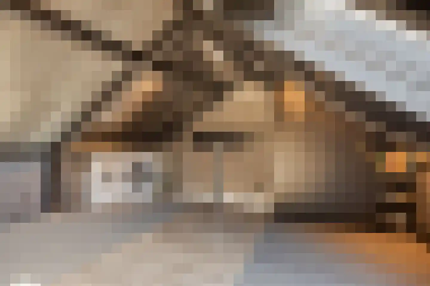 Eggestraat 38 Alkmaar thumbnail 29