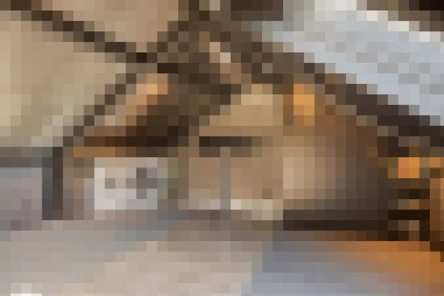 Eggestraat 38 Alkmaar thumbnail 29
