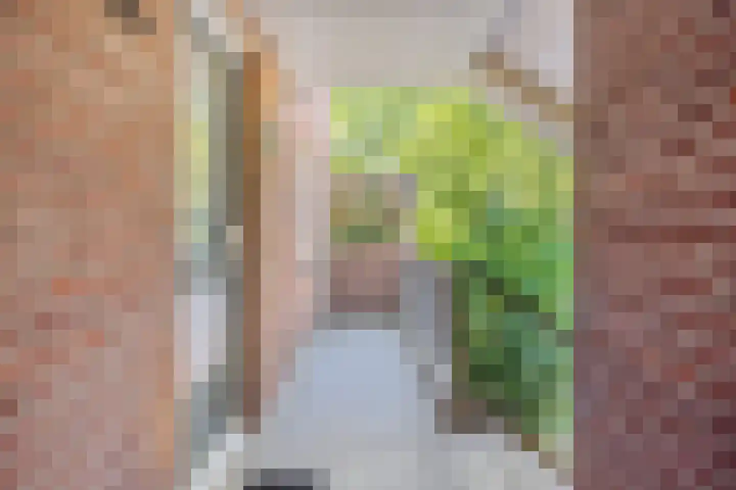 Eggestraat 38 Alkmaar thumbnail 5