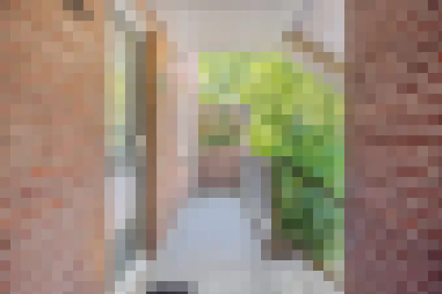 Eggestraat 38 Alkmaar thumbnail 6