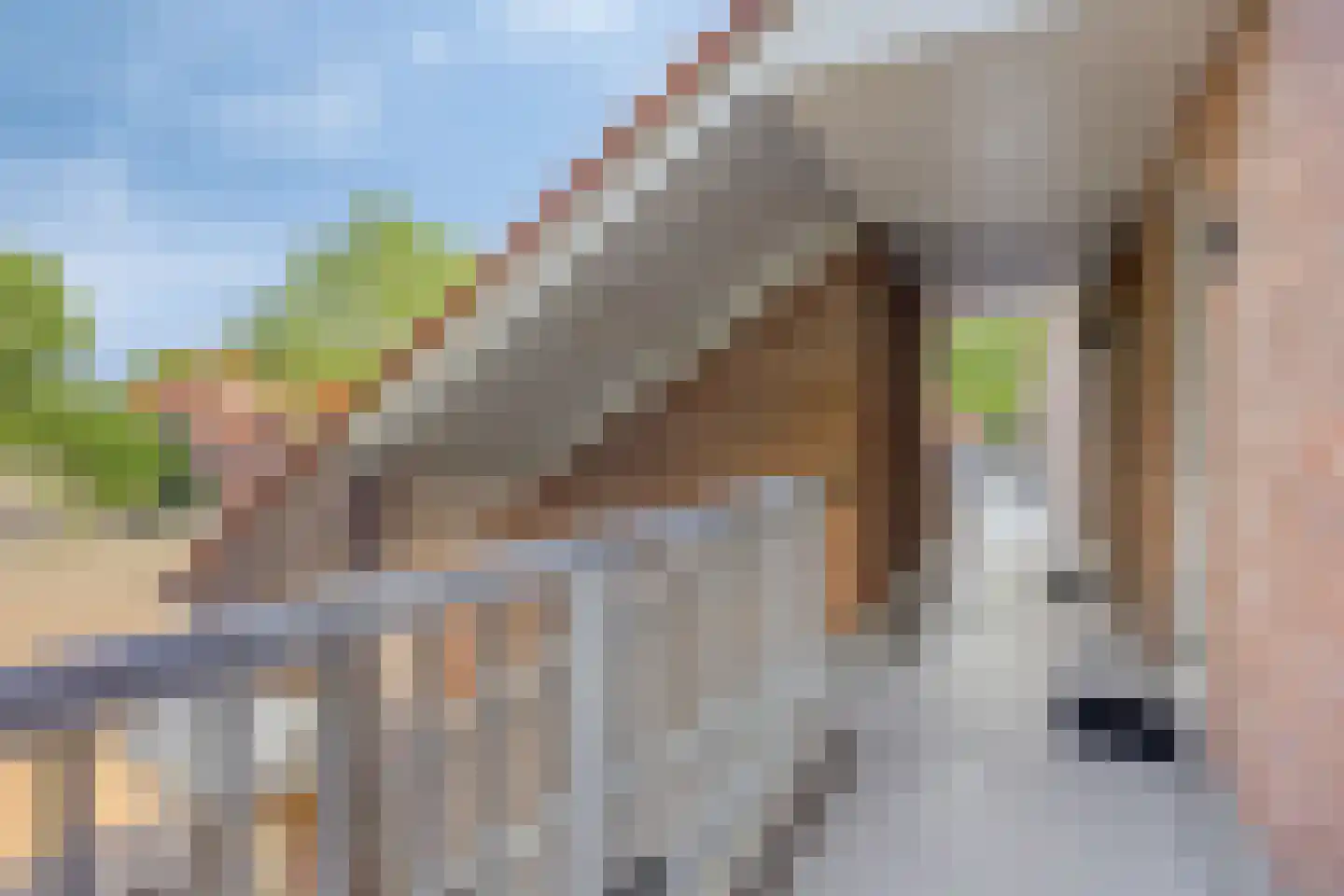 Eggestraat 38 Alkmaar thumbnail 7