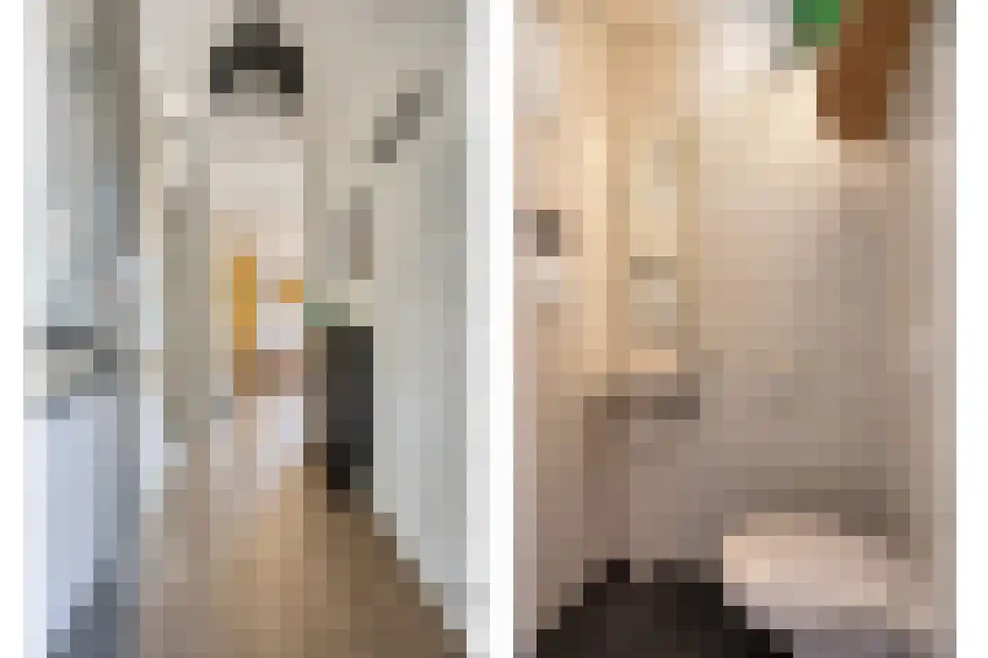 Eggestraat 38 Alkmaar thumbnail 8