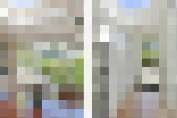 Eggestraat 7 Nieuw-Vennep thumbnail 19