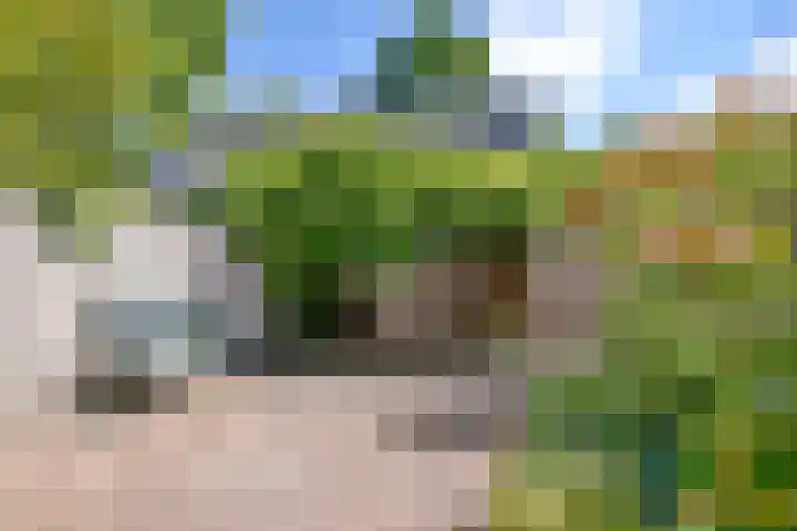 Eggestraat 7 Nieuw-Vennep thumbnail 21