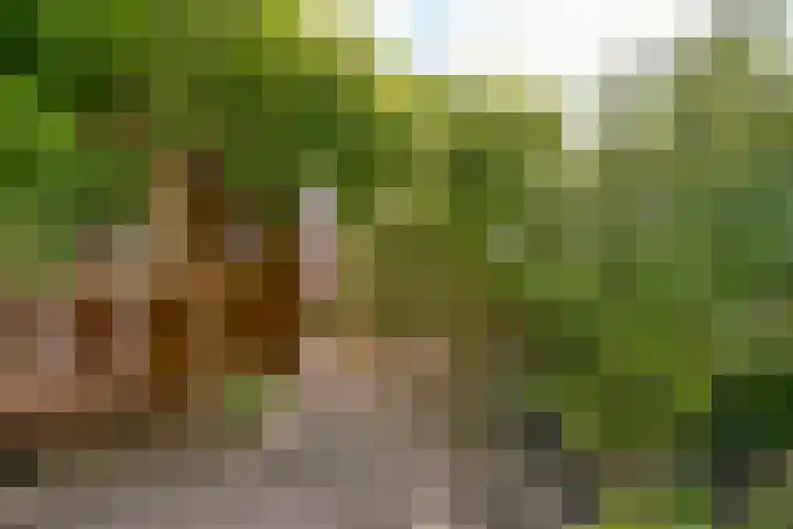 Eggestraat 7 Nieuw-Vennep thumbnail 22