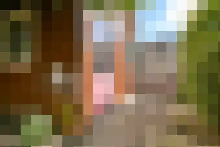 Eggestraat 7 Nieuw-Vennep thumbnail 23