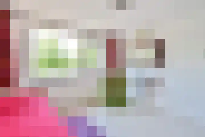 Eggestraat 7 Nieuw-Vennep thumbnail 31
