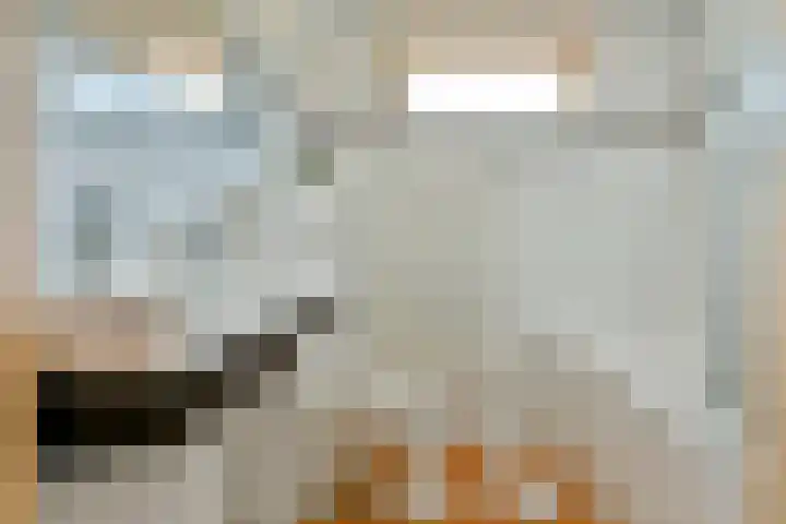 Eggestraat 7 Nieuw-Vennep thumbnail 32