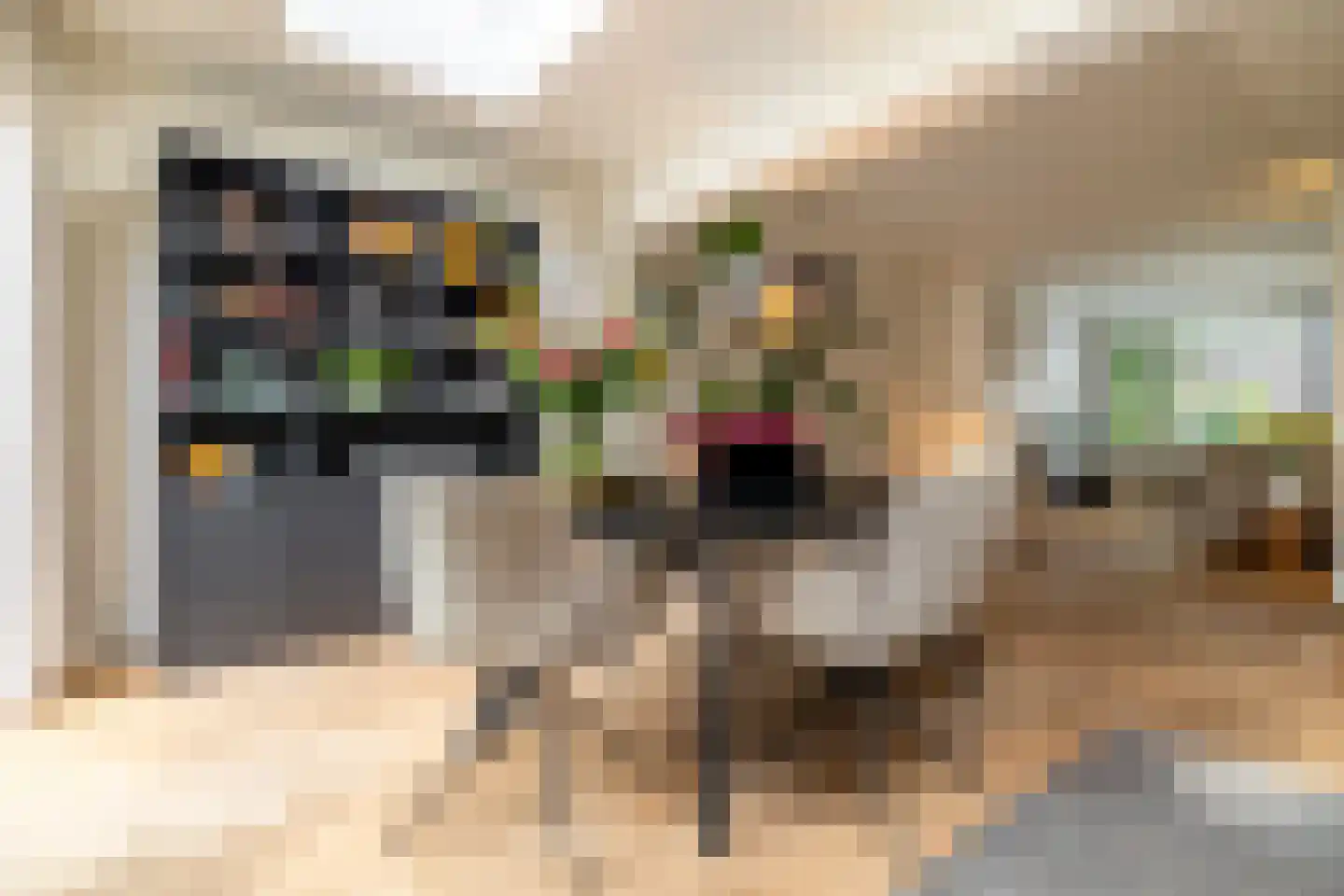 Eggestraat 8 Breda thumbnail 10