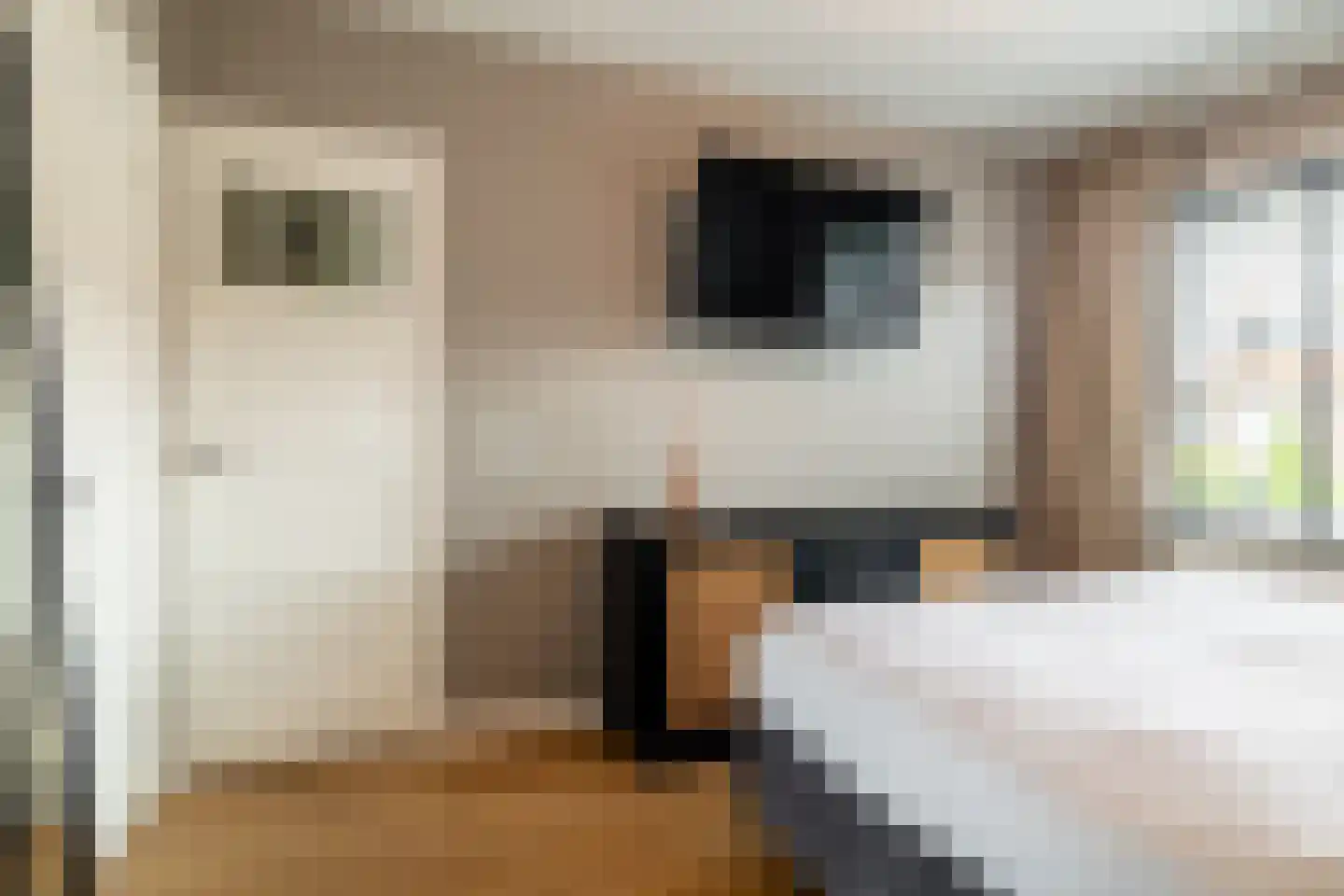 Eggestraat 8 Breda thumbnail 20