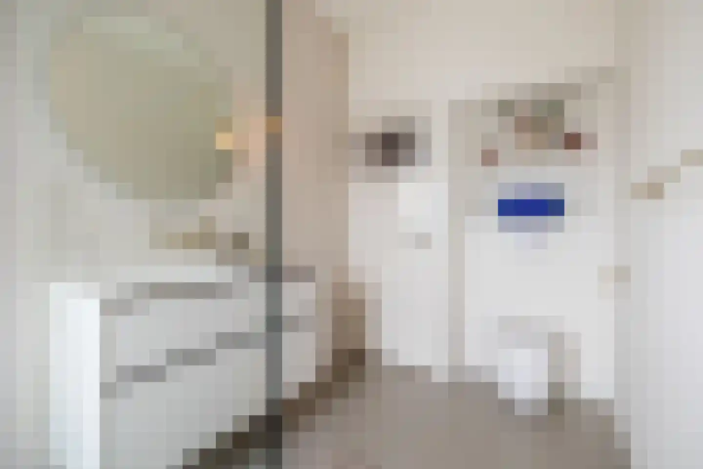 Eggestraat 8 Breda thumbnail 25