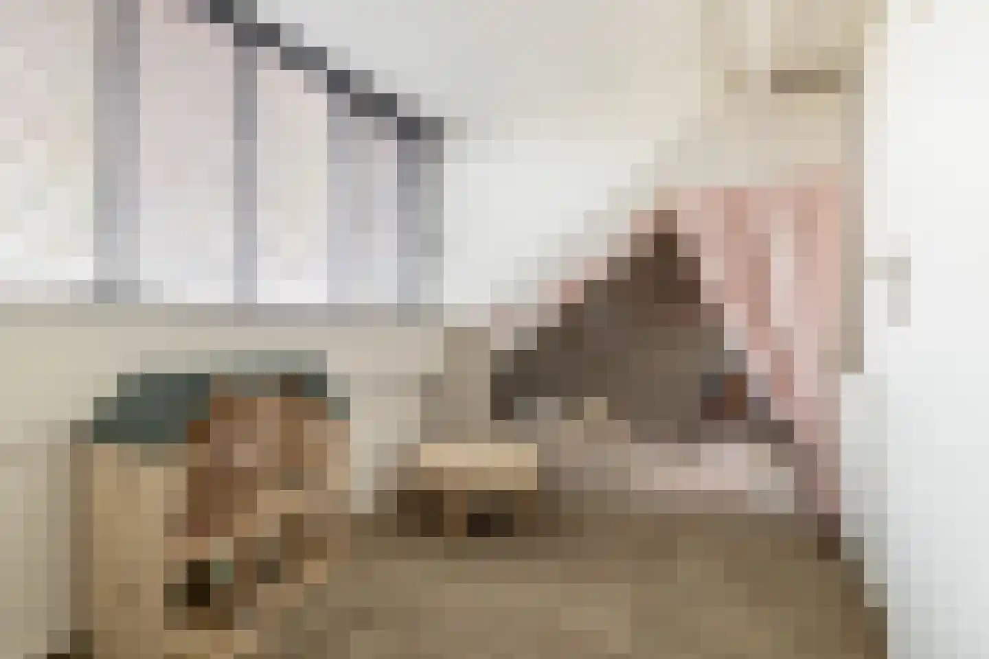 Eggestraat 8 Breda thumbnail 29