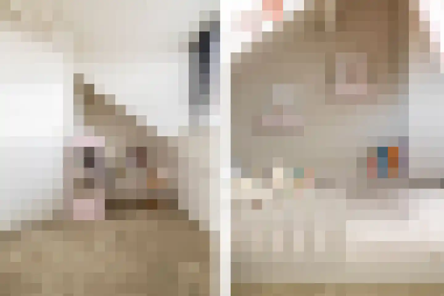 Eggestraat 8 Breda thumbnail 30