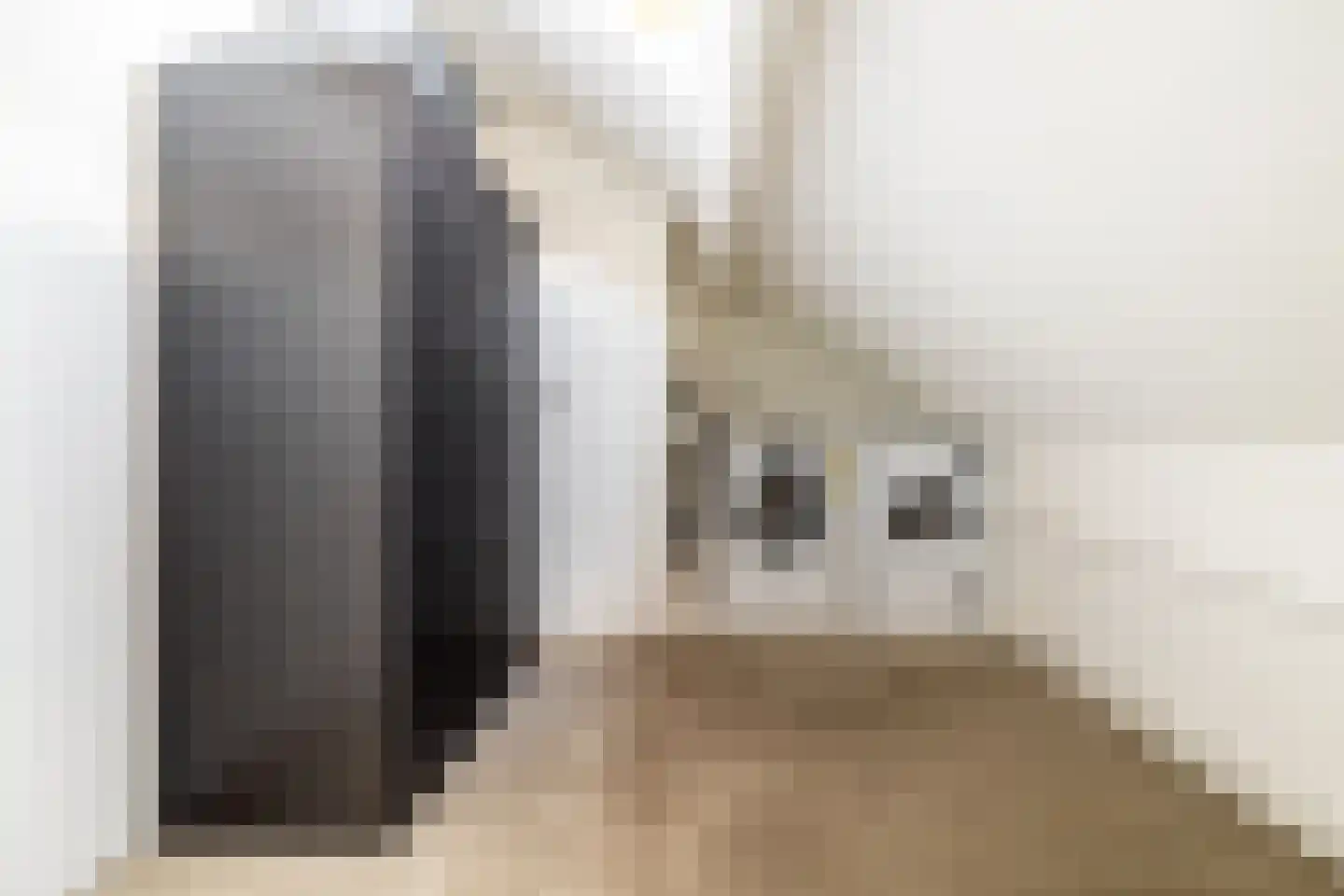 Eggestraat 8 Breda thumbnail 32