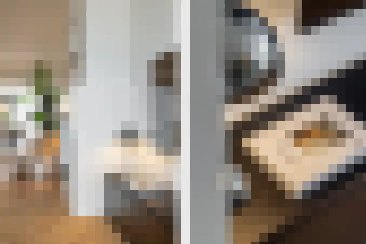 Eggestraat 8 Breda thumbnail 8