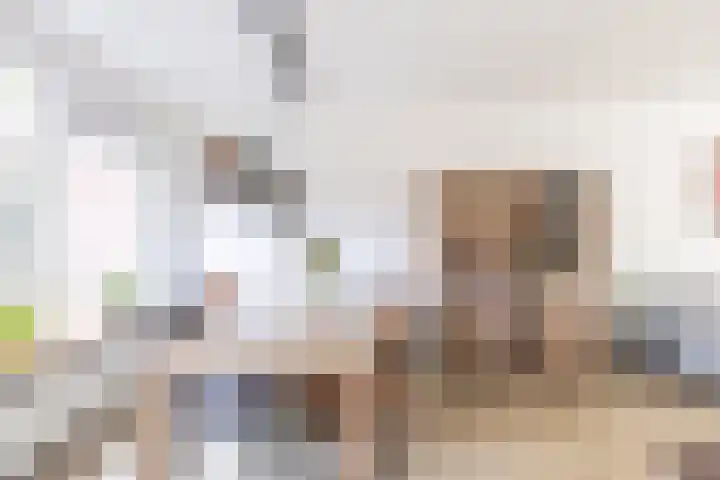 Eggestraat 9 Alkmaar thumbnail 10