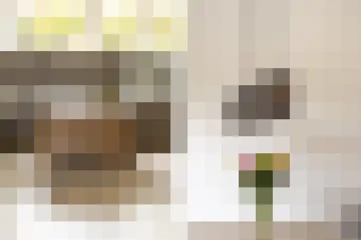 Eggestraat 9 Alkmaar thumbnail 11