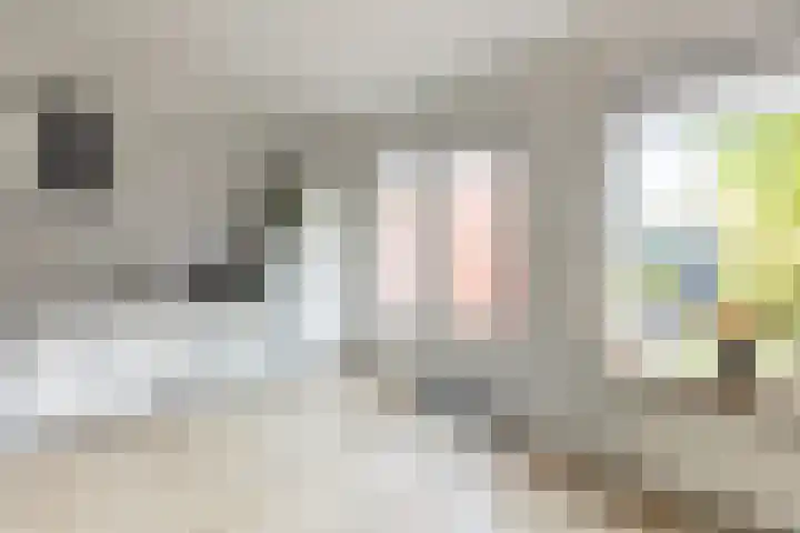 Eggestraat 9 Alkmaar thumbnail 13