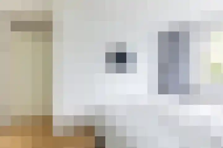Eggestraat 9 Alkmaar thumbnail 20
