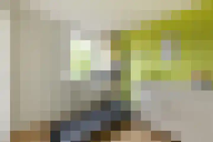 Eggestraat 9 Alkmaar thumbnail 21