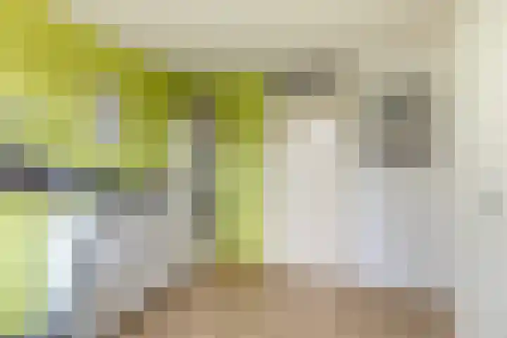 Eggestraat 9 Alkmaar thumbnail 23
