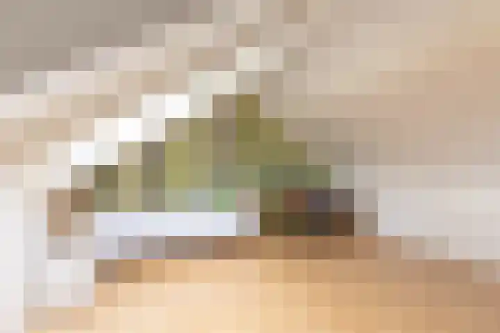 Eggestraat 9 Alkmaar thumbnail 30