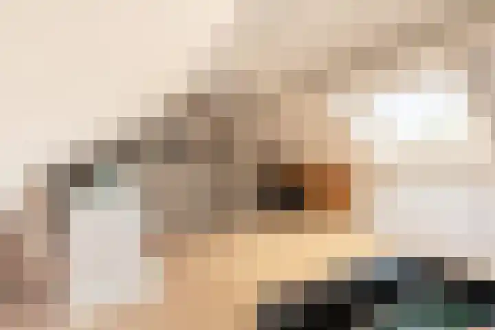 Eggestraat 9 Alkmaar thumbnail 32