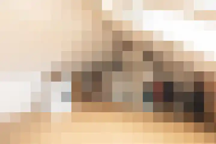 Eggestraat 9 Alkmaar thumbnail 33