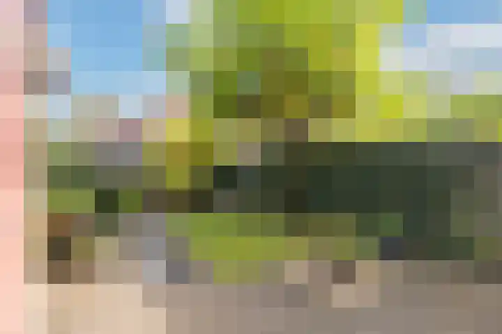 Eggestraat 9 Alkmaar thumbnail 34