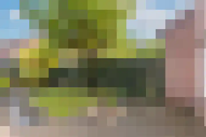 Eggestraat 9 Alkmaar thumbnail 35