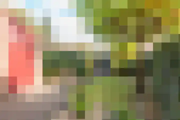 Eggestraat 9 Alkmaar thumbnail 36