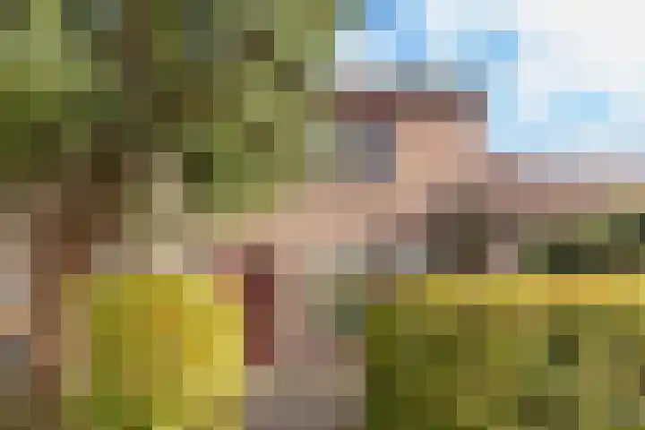 Eggestraat 9 Alkmaar thumbnail 44