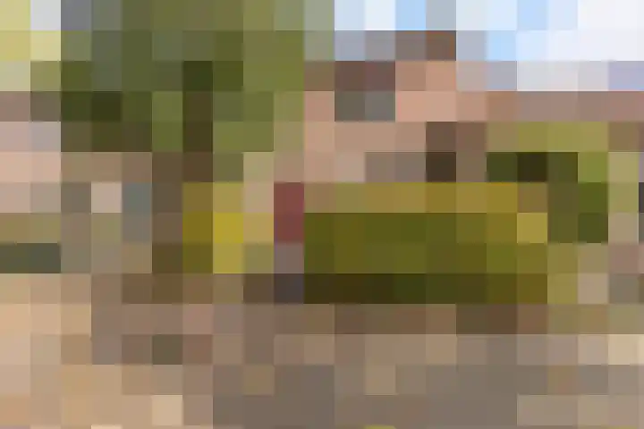 Eggestraat 9 Alkmaar thumbnail 47