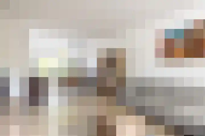 Eggestraat 9 Alkmaar thumbnail 5