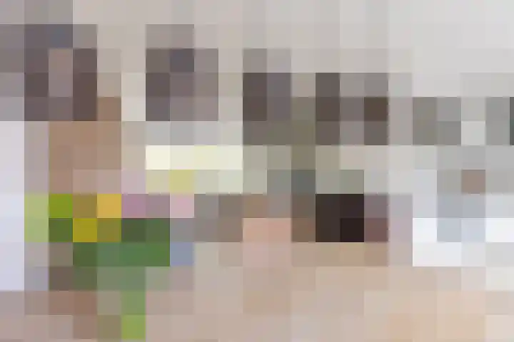 Eggestraat 9 Alkmaar thumbnail 9