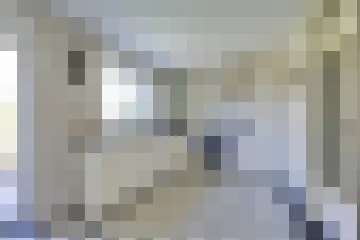 Eggeveld 3 Houten thumbnail 11
