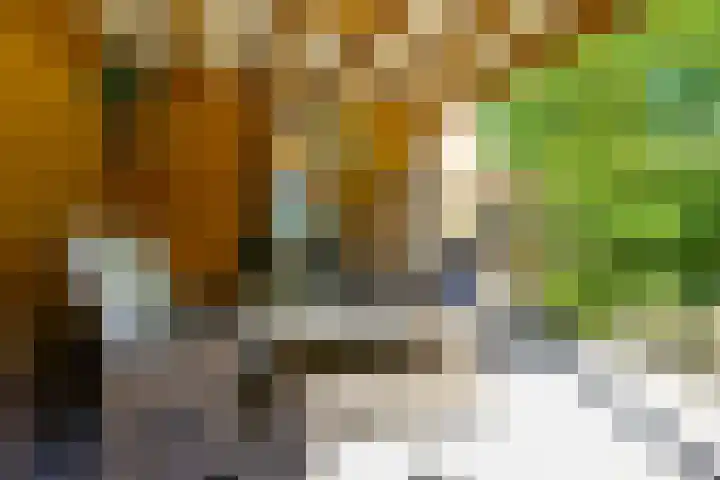 Eggeveld 3 Houten thumbnail 16