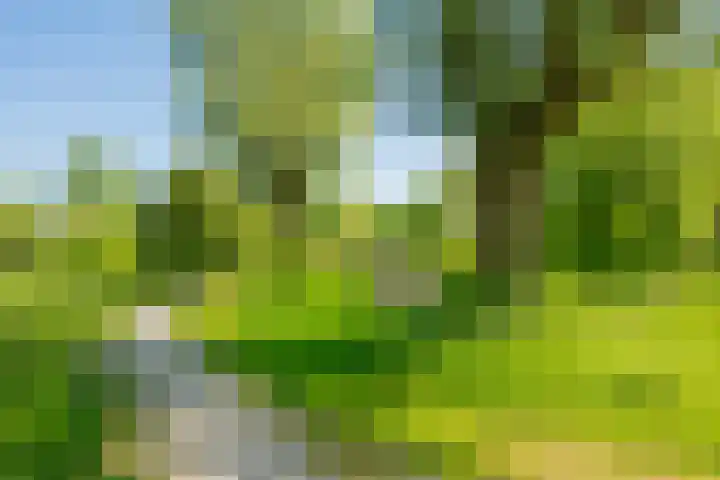 Eggeveld 3 Houten thumbnail 35