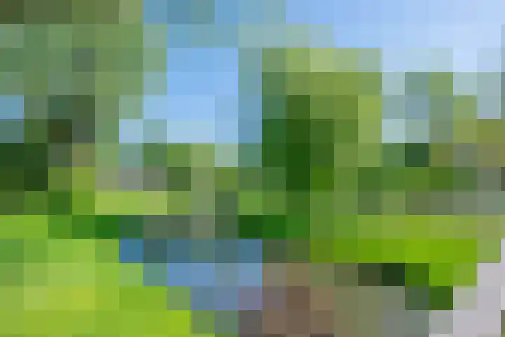 Eggeveld 3 Houten thumbnail 36