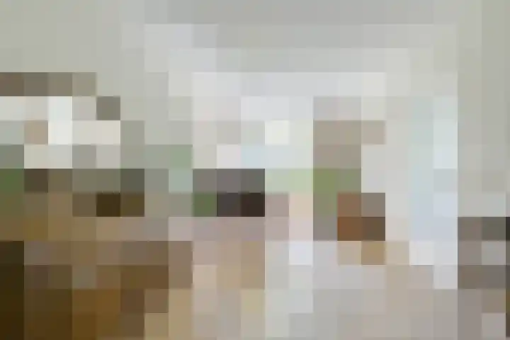 Eggeveld 3 Houten thumbnail 4