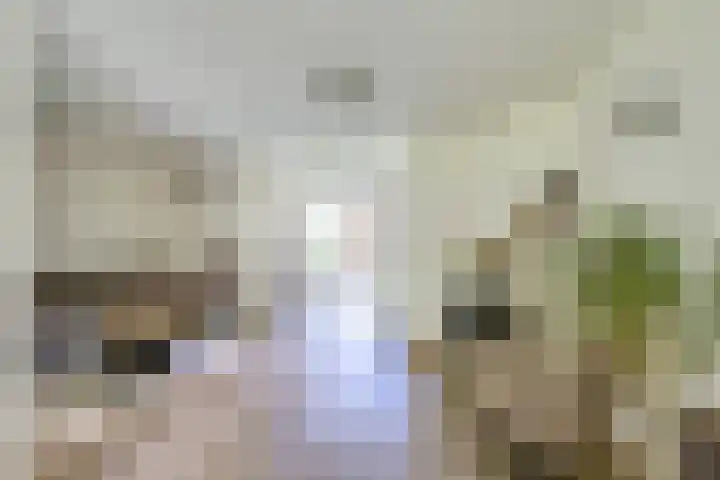 Eggeveld 3 Houten thumbnail 6