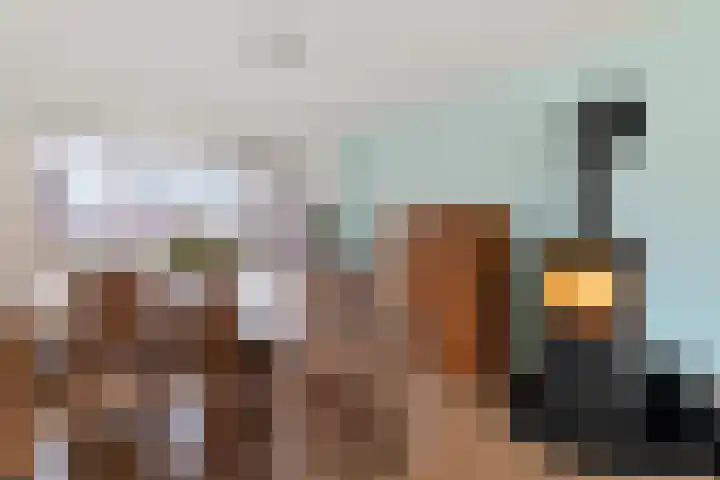 Eggeweg 8 Nieuw-Amsterdam thumbnail 10