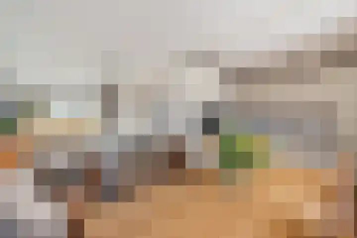 Eggeweg 8 Nieuw-Amsterdam thumbnail 12